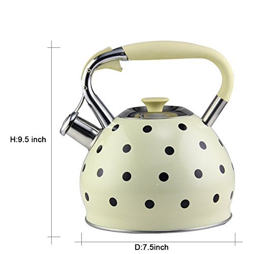 Riwendell 3.2 Quart Whistling Tea Kettle Stainless Steel Dot Print StoveTop Teapot (GS-04517CFY-3.0L) - Thumbnail 4