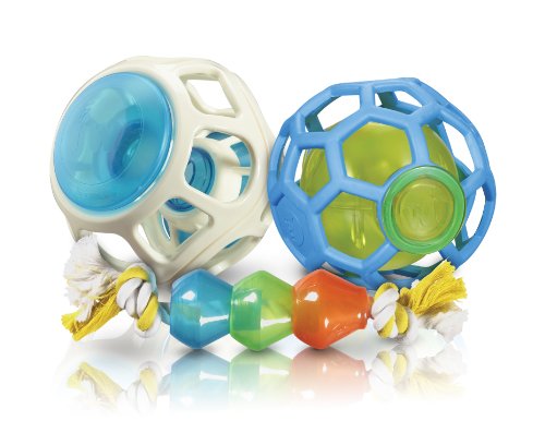 JW Pet Treat Dispenser Pod Dog Toy, Small Want It All