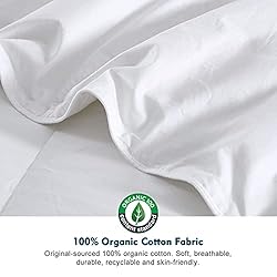 Oaken-Cat Feathers Down Comforter Twin
