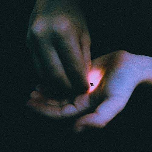 Album Art for Stray by Bambara