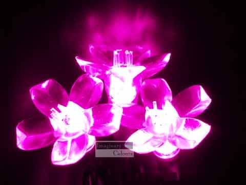 Pink Cherry Blossoms 25-LED Light String