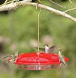 Aspects HummZinger Excel Hanging Hummingbird Feeder with Built in Ant Moat - Item 143