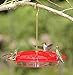 Aspects HummZinger Excel Hanging Hummingbird Feeder with Built in Ant Moat - Item 143 primary