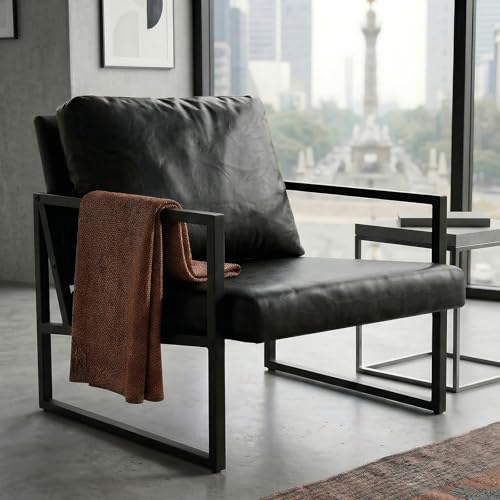 Simple Wisdom Sillon Individual,Sillones Para Sala,Sillones Individuales Viene Con Cojines y Almohadas,Marco de Metal,Fácil montaje,60*58*79 CM,Adecuado Para Sala Estar,Dormitorio,Oficina(Negro-1)