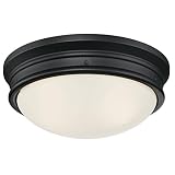 Westinghouse Lighting 6324100 Meadowbrook Two-Light Indoor Flush-Mount Ceiling Fixture, Matte Black Finish with Frosted Glass