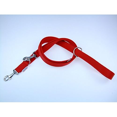 Championl J Pets Britannique Solide Web à Double