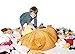 Roomganize Extra Large Animal Bean Bag Chair Cover and Soft Toy and Linen Storage Organizer for Room Decor (Fox)