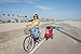 PETIQUE Bike Adapter for All Terrain Jogger Pet Stroller Bike Adapter, Black, One Sizethumb 4