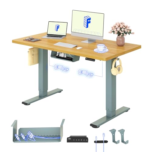 FLEXISPOT Höhenverstellbarer Schreibtisch elektrisch, Doppelmotor 120x60 cm