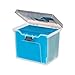 Staples 757455 Portable File Box Letter Size Clear w/Gray Lid (110991)