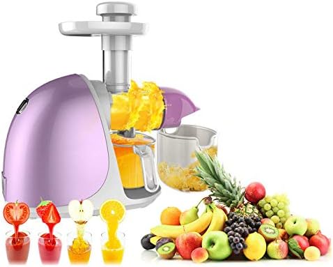 Lxj Juicer raw juice machine household automatic fruit and vegetable slag separation fruits sugarcane juice machine