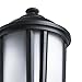 Maximus Smart Security Light, Traditional Textured Black Finish, Compatible with Alexa, 450lm A19 bulb included