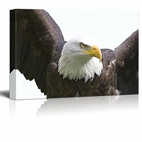 Canvas Wall Art - an Eagle - Giclee Print Gallery Wrap Modern Home Art Ready to Hang - 12" x 18"