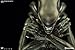 Sideshow Ridley Scott 1979 H.R. Giger Alien Internecivus Raptus Alien Statue