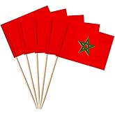 stidsds 100 Pcs Morocco Flag Morocco Toothpick Flags Mini Small Moroccans Cupcake Toppers Stick Flags Banner Party Cocktail Fruit Decoration