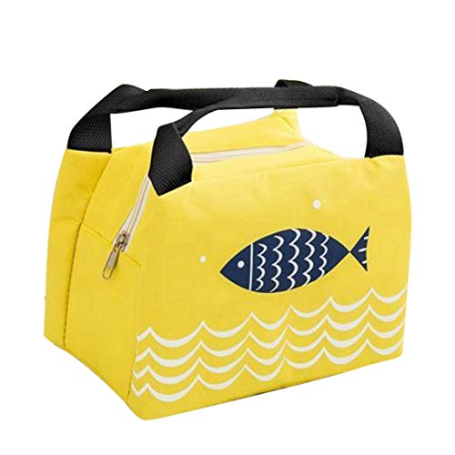 Jiyaru Insulated Lunch Bag Portable Outdoor Work School Lunch Tote Bags Waterproof Lunch Holder Organizer