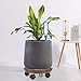 Murilan Indoor Planter Dolly Round Flower Pot Mover Rolling Plant Pallet Caddy with Wheels, Brown