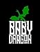 Baby Dragon: Dragon Family Green 2019 Calendar Weekly Planner To Do List Organizer Book 8.5
