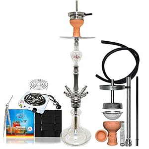 Caesar 4kings – Stainless Steel – Mid Shisha Set 4er – 69 cm – Komplettset mit Kohle (2,6cm), Premium Kohleanzünder, 4 Schliff Adapter (Shining Transparent – 04)