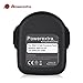 Powerextra Upgraded 12 Volt 3000mAh Replacement Battery for Black & Decker PS130 Firestorm 12-Volt Pod Style Battery 2 Pack