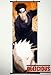 Naruto Home Decor Japanese Anime Cosplay Wall Scroll Poster Inuzuka Kiba & Akamaru 17.7 X 49.2 Inches-P104445001