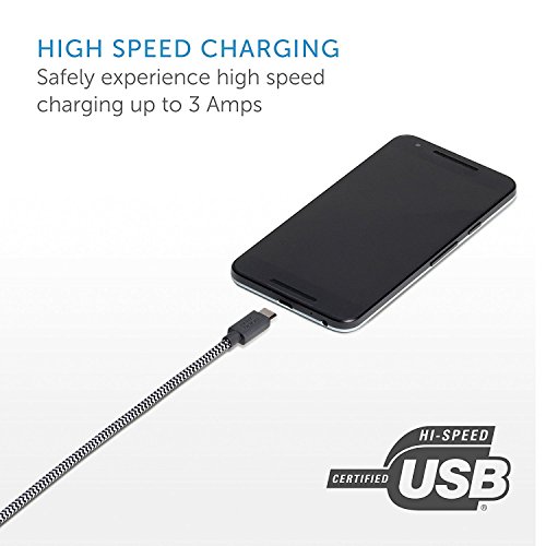 Native Union BELT Cable USB-A to USB-C - 4ft Ultra-Strong Reinforced Certified Charging/Sync Cable with Leather Strap - Compatible with All USB-C Devices (Zebra)