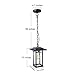 LOG BARN 1 Light Hanging Lantern Lamp Pendant Light in Painted Black Metal with Obscured Glass Shade, 13