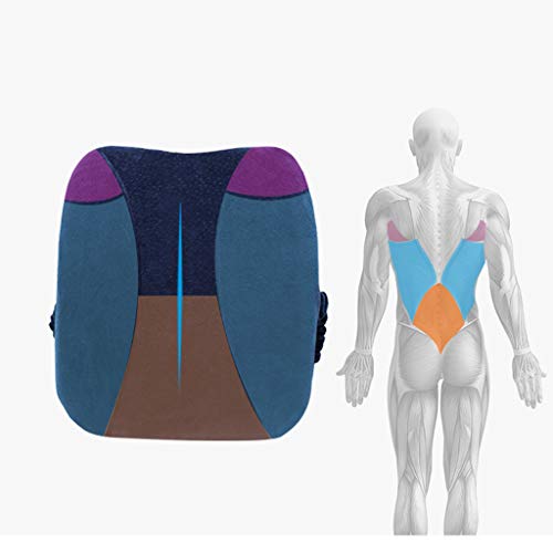 Lumbar Support for Office Car Chair, Memory Foam Lumbar Support Cushion Balanced Firmness Pain Relief Back Pillow