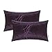 CaliTime Throw Pillow Covers Pack of 2 Modern Shining & Dull Contrast Circles Rings Accent Geometric Cushion Cases Shells for Couch Sofa Home Decor 12 X 20 Inches Deep Purple