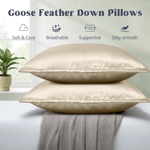 puredown® Goose Feather Down Pillows with Satin Pillowcases, Standard