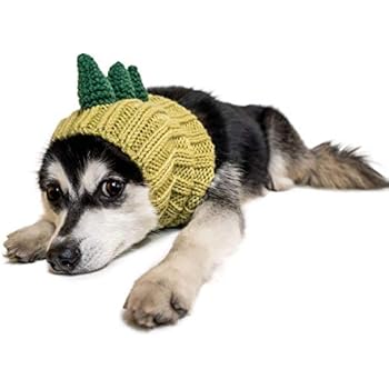 Zoo Snoods Dinosaur Dog Costume - Neck and Ear Warmer Headband for Pets (Medium)