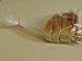 Plastic bread and Grocery Clear Bag on Roll 12x20 1 Roll/cs appx. 350 bags- with Free Twist Ties