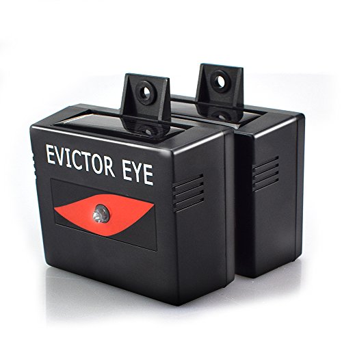 Flantor Evictor Eye, Animal Repeller Latest Bat Shape Design Predator Eye Solar Powered Waterproof Night-time for Coyotes,Raccoon, Skunks, Foxes, Wolves, Cougars, Deer,Dog,Mice,Eagle (Rectangle)