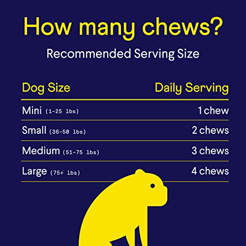 Finn Allergy & Itch Supplement for Dogs Supports Seasonal Allergies & Immune Response Wild