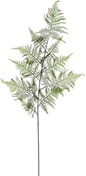 Amazon.com: 45" Silk Asparagus Fern Stem -Green (Pack of 12): Home
