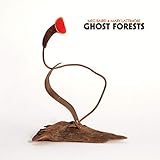 Buy MEG BAIRD & MARY LATTIMORE - Ghost Forests New or Used via Amazon