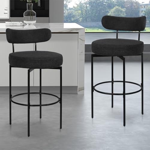 AODAILIHB Swivel Bar Stools Set of 2, Counter