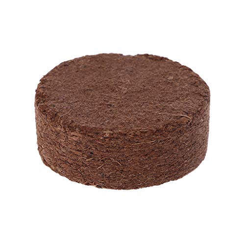Qupida Coconut Fiber Substrate Bricks – Ideal for Amphibians and Reptiles – Non-Toxic, Odorless, Safe – Can Be Used Wet or Dry - Thumbnail 7
