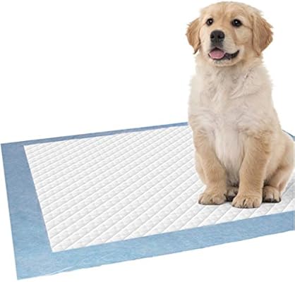amazon empapadores perro