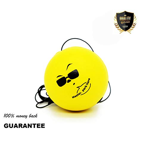 Double Garage Parking Aid Ball Guide System,Parking Assistant kit