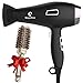 Ionic Hair Dryer with FREE Ceramic Blowdrying Brush | Anti-Frizz blow dryer with Extra-Fast 1875W Motor and Concentrator Nozzle | Professional Hairdryer for Men and Women