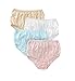 Teri Women's Full Cut Nylon Brief Panty - 4 Pack 331, Assorted, 7