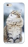 Cute High Quality Iphone 6 Cats Humor Winter Snow Flakes Case Provided By Downsales