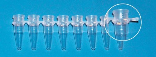 Brandtech 781320 PCR 8 Tube Strip 0.2 ml Capacity, Clear (Pack of 125)
