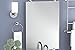 Gatco Latitude II Rectangle Mirror,, Chrome, 31.5 Inch, Frameless Rectangle, 31.50