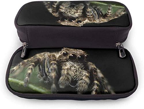 愛らしいクモ昆虫イラストレーション レザー筆箱筆箱 大容量 色鉛筆ケース 文房具バッグ おしゃれ 多機能ケース 男女兼用 B086j2fhxr 1 0円 100 品質保証 Salenew大人気 日本全国 送料無料 セールsale Off 格安saleスタート