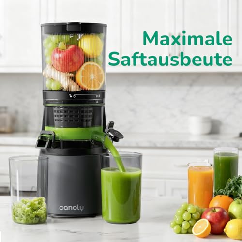 Spremiagrumi con foro di riempimento extra large 150 mm, filtro 3 in 1 (per succo, sorbetto e latte di noci), volume di riempimento 2,6 l, spremiagrumi lento con motore AC, sistema