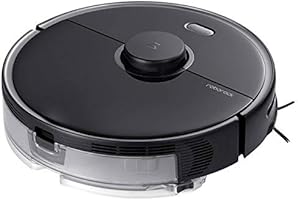 roborock international version