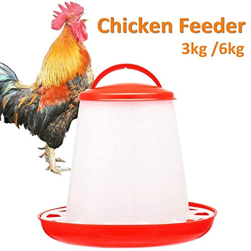 KTZAJO Geflügel, Hühnerfutter, Vögel, Trinkgefäße, Diät-Werkzeug, Trinktöpfe, Tauben-Futterhaus, Tierbedarf, Hühner… – Bild 4