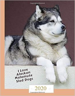 large malamute